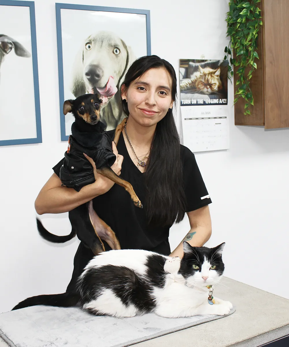Dra. Danila Ruiz — Oncóloga veterinaria, Pets Oncology