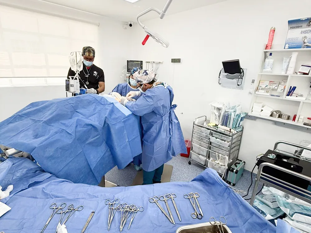 Cirugía oncológica veterinaria en Pets Oncology CDMX