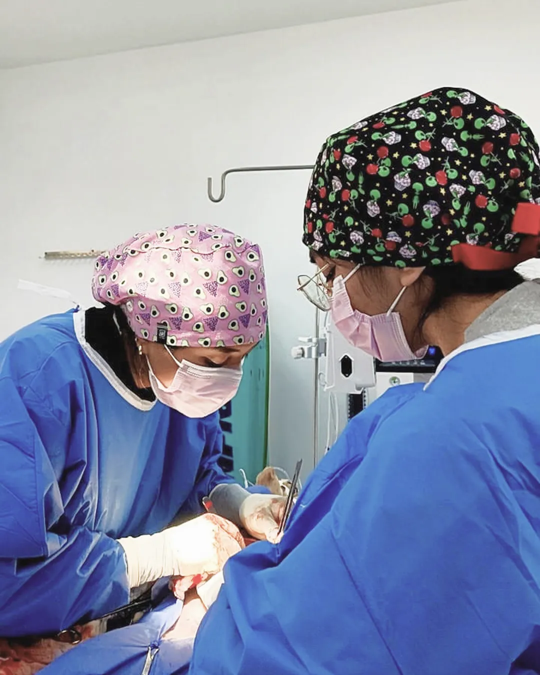 Cirugia-oncologica-veterinaria-pets-oncology-1