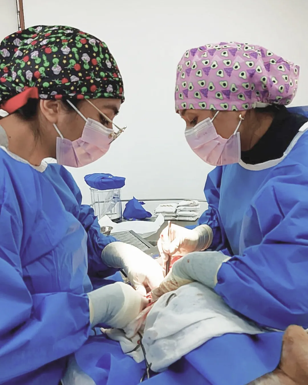 Cirugia-oncologica-veterinaria-pets-oncology-2