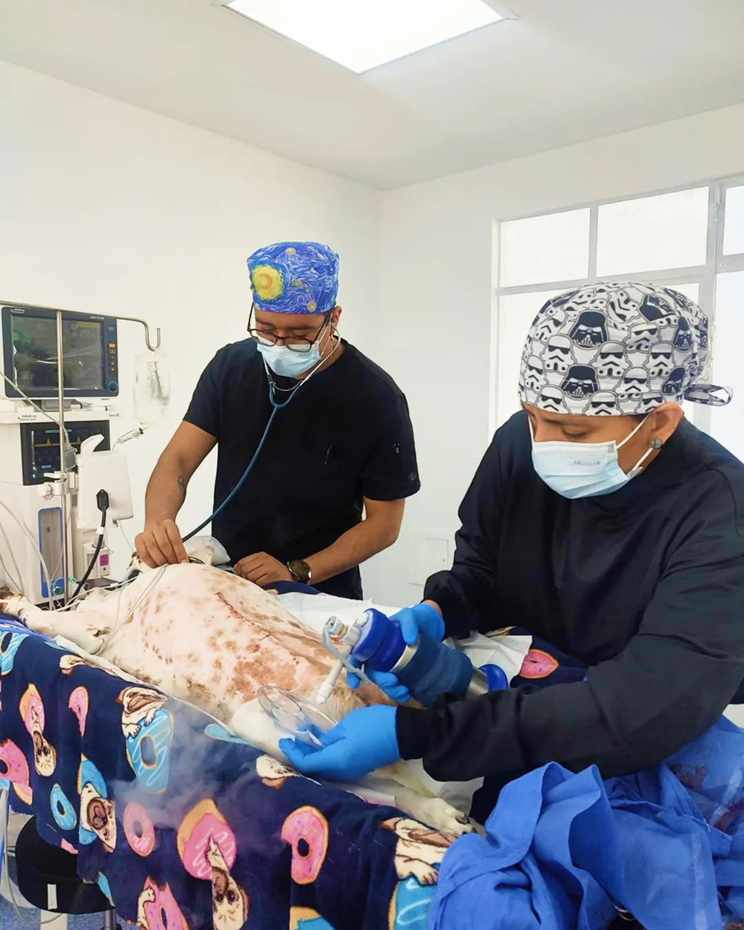 Crioterapia-veterinaria-pets-oncology-1