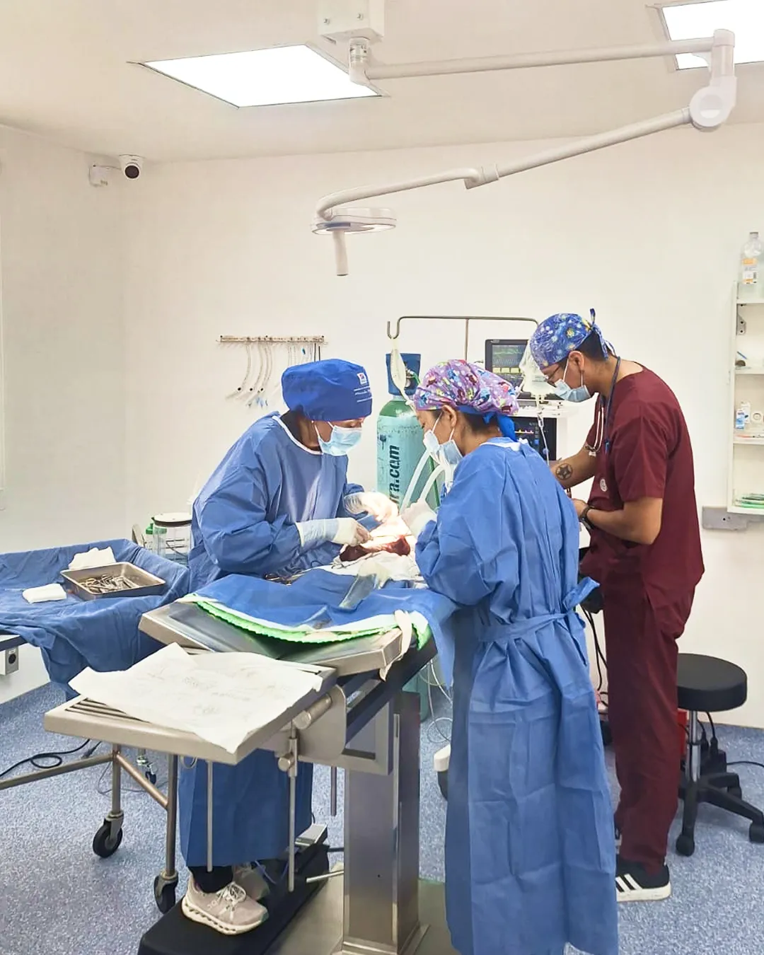 Crioterapia-veterinaria-pets-oncology-2-1